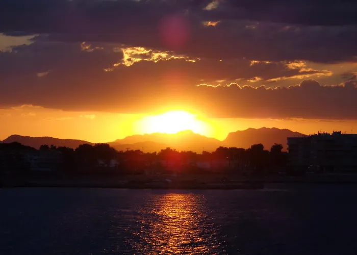 Flair Locos Torrevieja